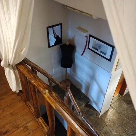 Olga * Неа-Скиони