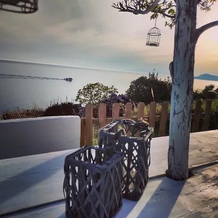 Olga - Four Season Complex *