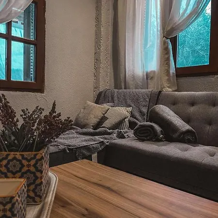 Апартаменты Olga Неа-Скиони