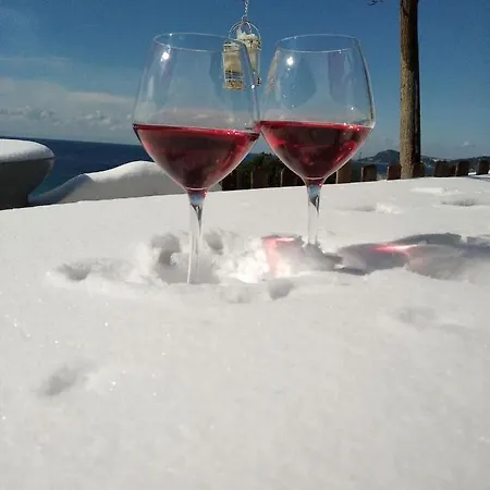 Olga - Four Season Complex Nea Skioni