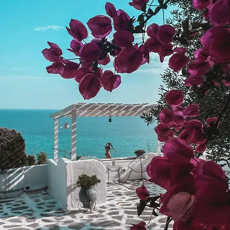 Olga - Four Season Complex *