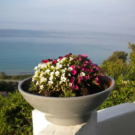 Апартаменты Olga