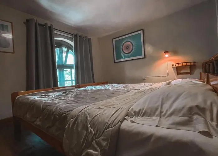 Daire Olga Nea Skioni