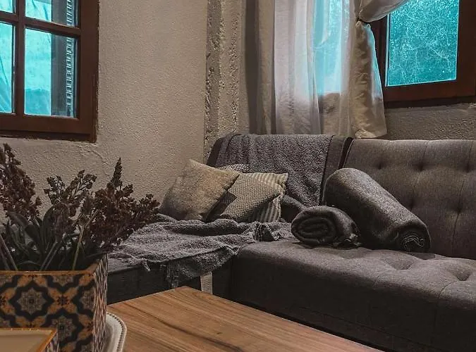 Apartment Olga Nea Skioni